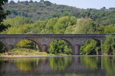 Arch bridge over river in forest