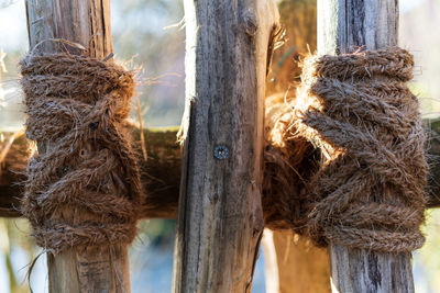 Close-up of rope tied to wooden post