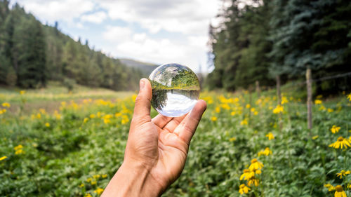 Cropped hand holding crystal ball on field