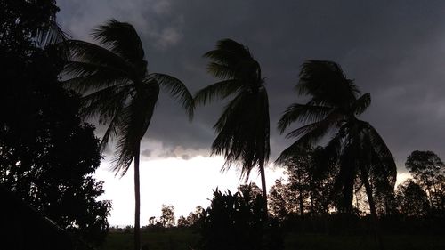 Low angle view of silhouette palm trees against sky at sunset