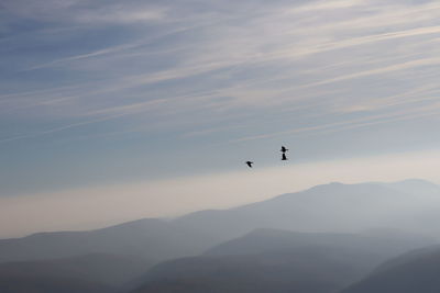 Silhouette of birds flying over mountains against sky