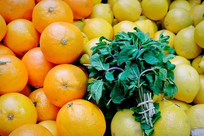 High angle view of oranges and herbs for sale at market