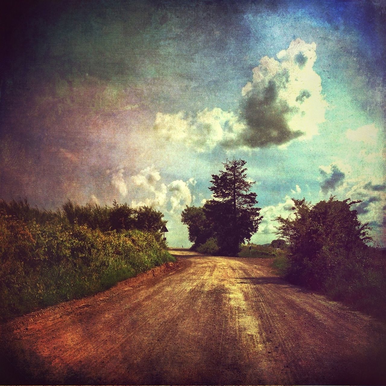 tree, sky, the way forward, tranquility, cloud - sky, nature, growth, road, tranquil scene, auto post production filter, beauty in nature, outdoors, landscape, no people, plant, scenics, day, cloud, street, sunlight