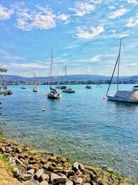 Sailboats moored in marina