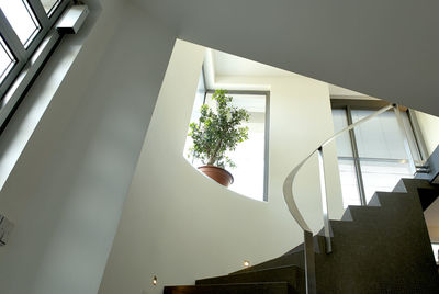 Low angle view of staircase in building