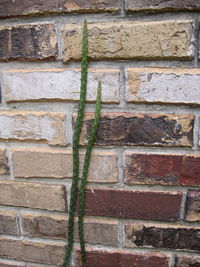 Full frame shot of brick wall