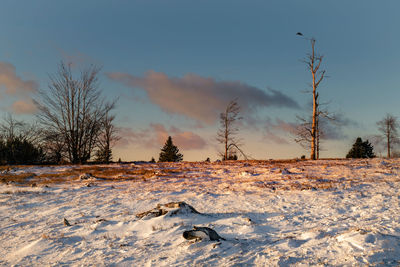 Snow covered field against sky