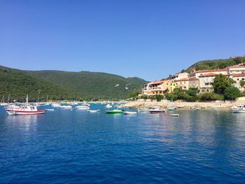 Sailboats in sea by buildings against clear blue sky