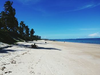 Scenic view of beach against clear blue sky