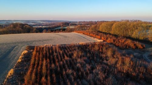 High angle view of agricultural field during sunset