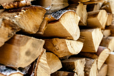 Natural wooden dry logs close up with bokeh