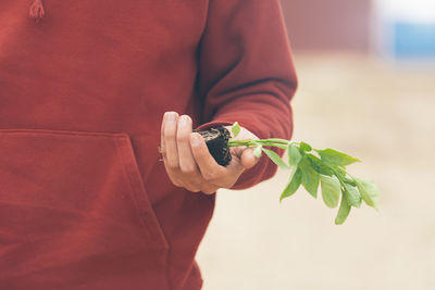 Midsection of man holding seedling