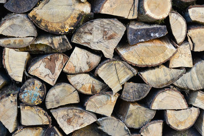 A close-up firewood stack background located outdoor on sunny day