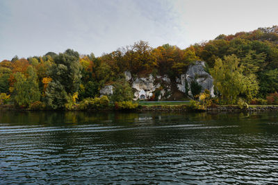 View of autumn trees at lakeshore