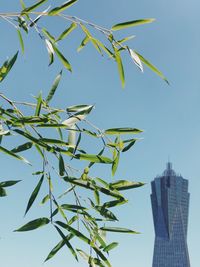 Low angle view of plant against buildings in city against sky