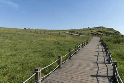 Scenic view of field against clear sky