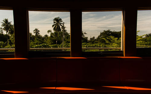 View of trees through window