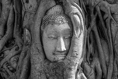 Close-up of buddha statue on tree trunk