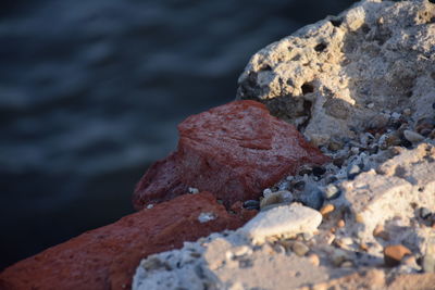 Close-up of rocks on shore