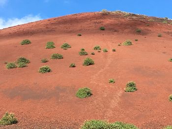 Scenic view of desert land against sky