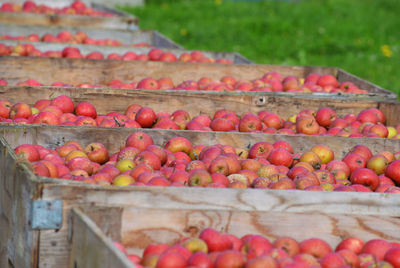 Various fruits in crate