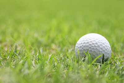 Close-up of ball on field