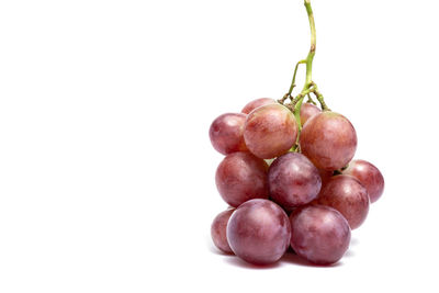 Close-up of grapes against white background