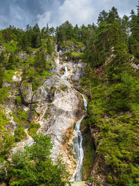 Scenic view of waterfall in forest