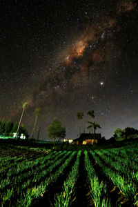 Scenic view of field against sky at night