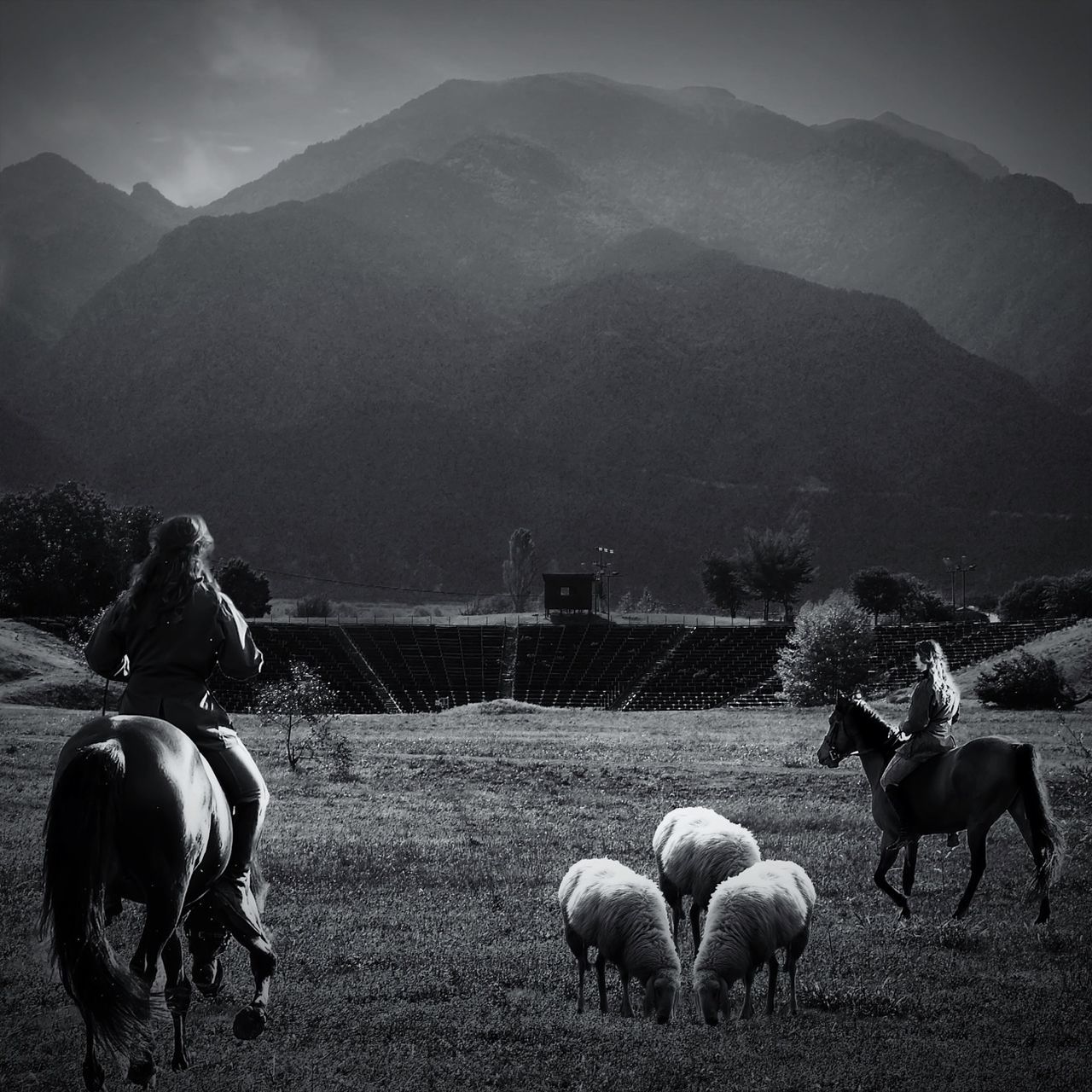 animal themes, livestock, domestic animals, mountain, mammal, landscape, mountain range, sky, horse, field, medium group of animals, grazing, domestic cattle, nature, herbivorous, cow, sheep, three animals, two animals