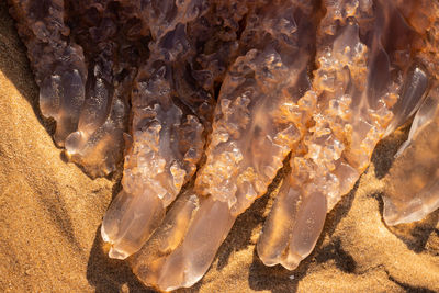 Full frame shot of rock in sea