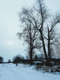 Bare trees on snow covered field against sky