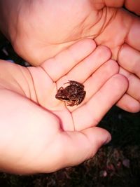 Close-up of person holding hand