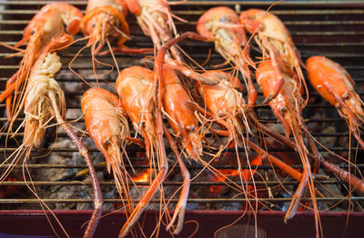 High angle view of meat on barbecue grill