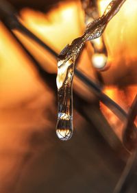 Close-up of water in tank