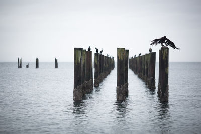 Pier on sea