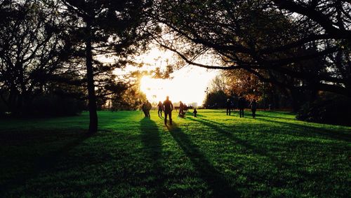 People walking on grassy field