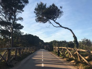 Empty road along plants and trees against sky