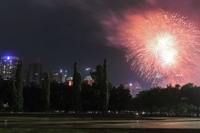 Firework display at night