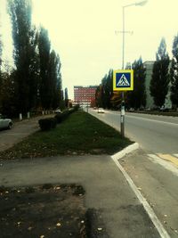 Empty road along trees