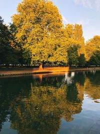 Scenic view of lake by trees during autumn