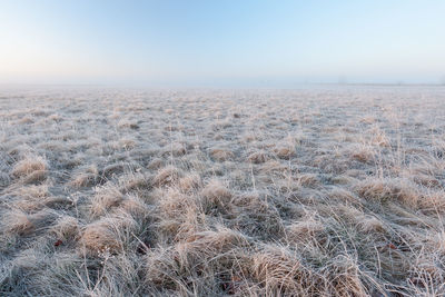Scenic view of snowy field against clear sky