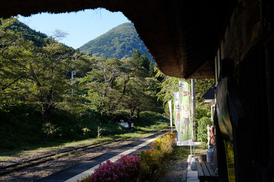 Road amidst trees and mountains