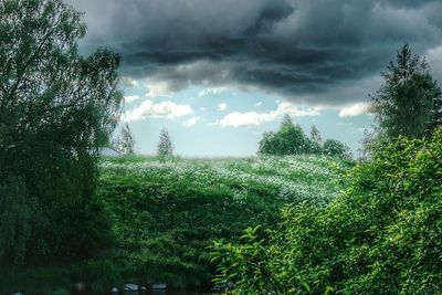 Scenic view of field against cloudy sky