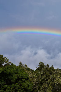 Low angle view of rainbow against sky