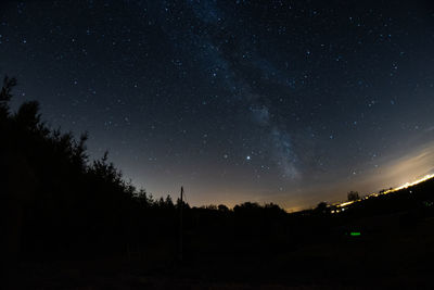 Low angle view of silhouette trees against star field at night