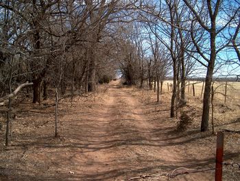 Empty road along trees