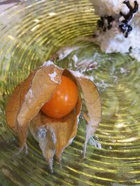 Close-up of crab in water