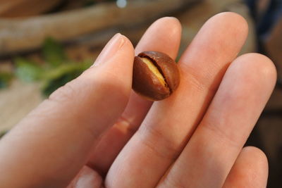 Close-up of hand holding cigarette