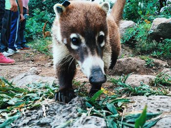 Low section of man standing by plants
